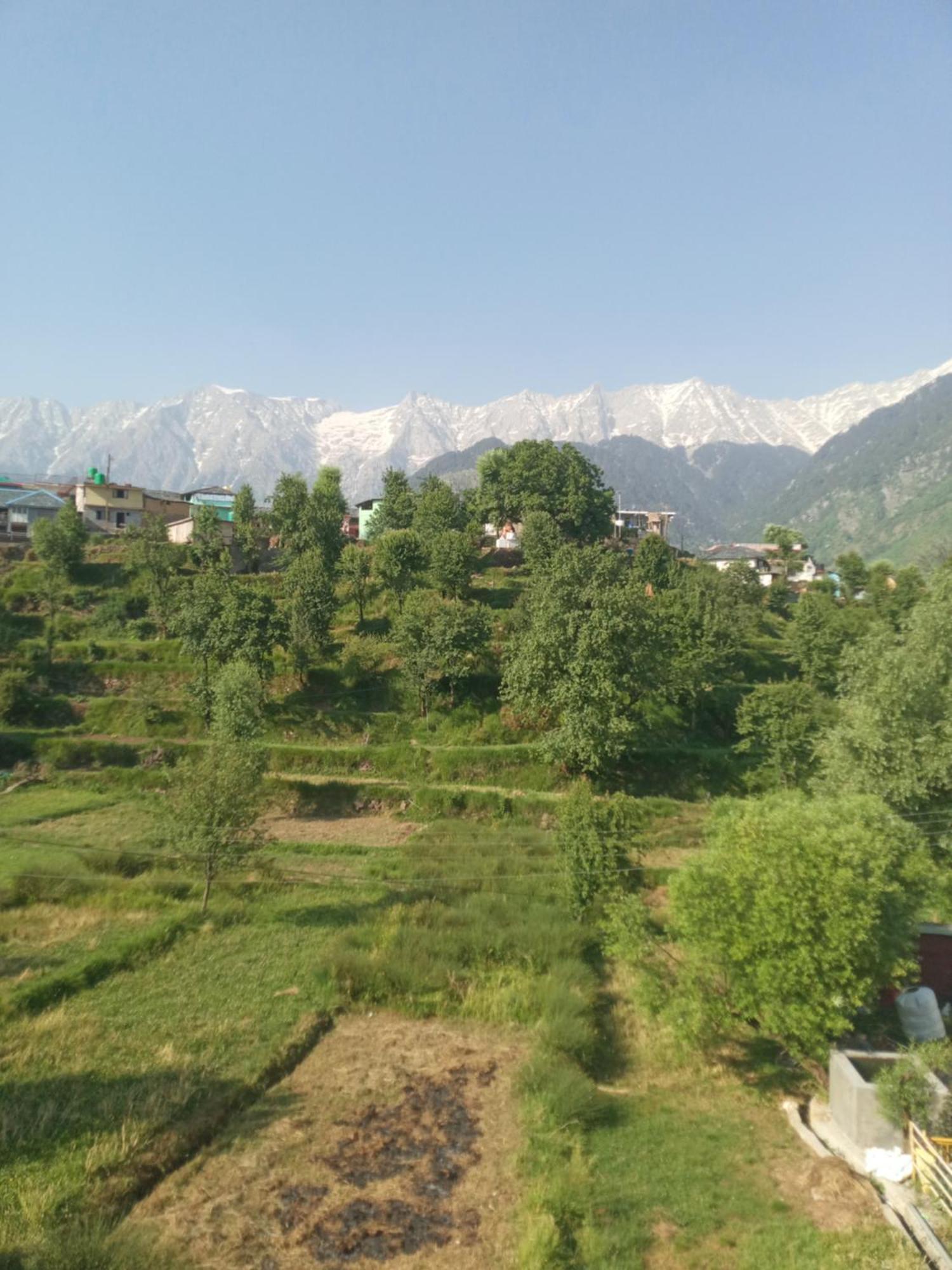 Nirmal Homestay Dharamshala Værelse billede