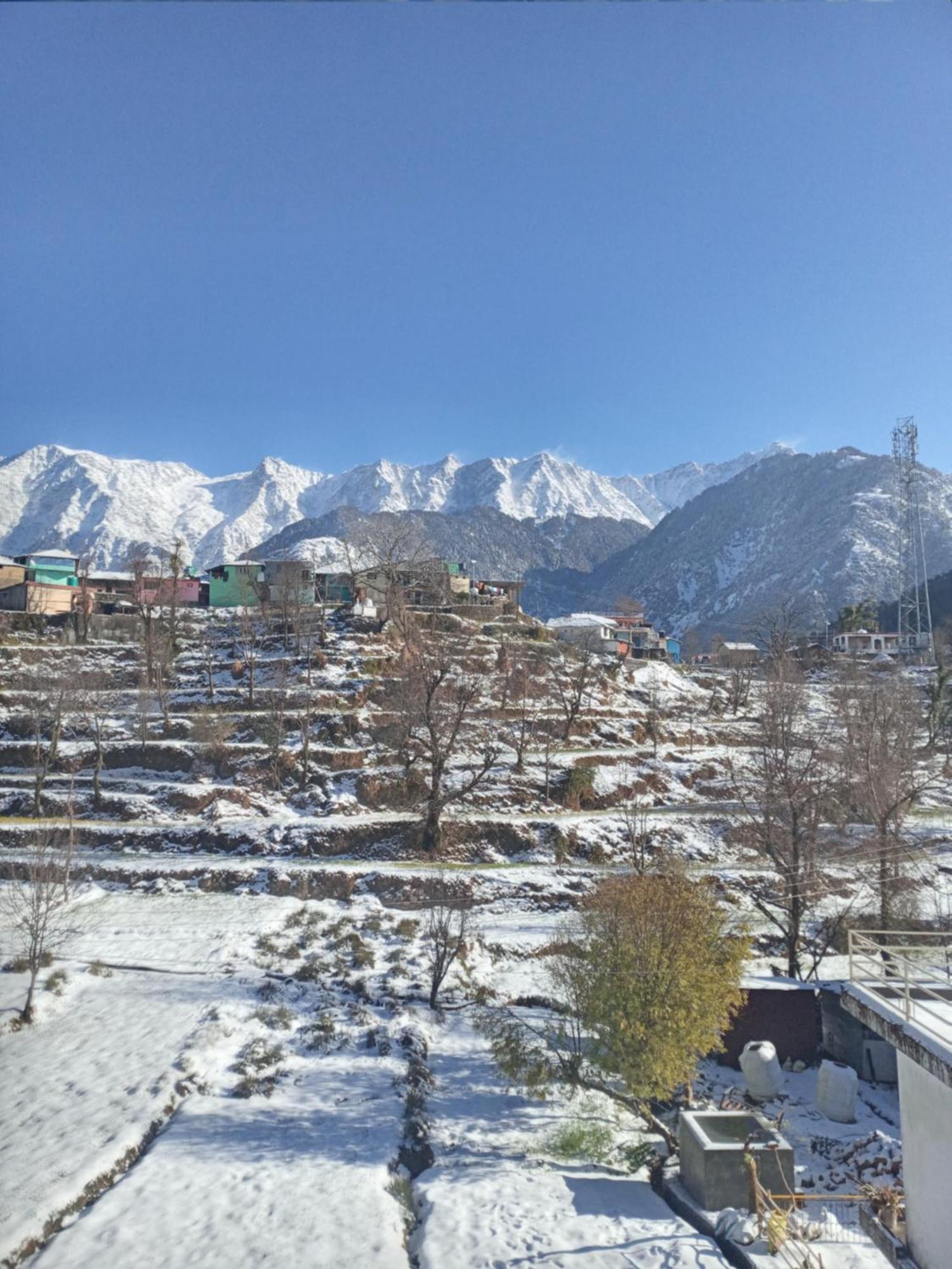 Nirmal Homestay Dharamshala Eksteriør billede