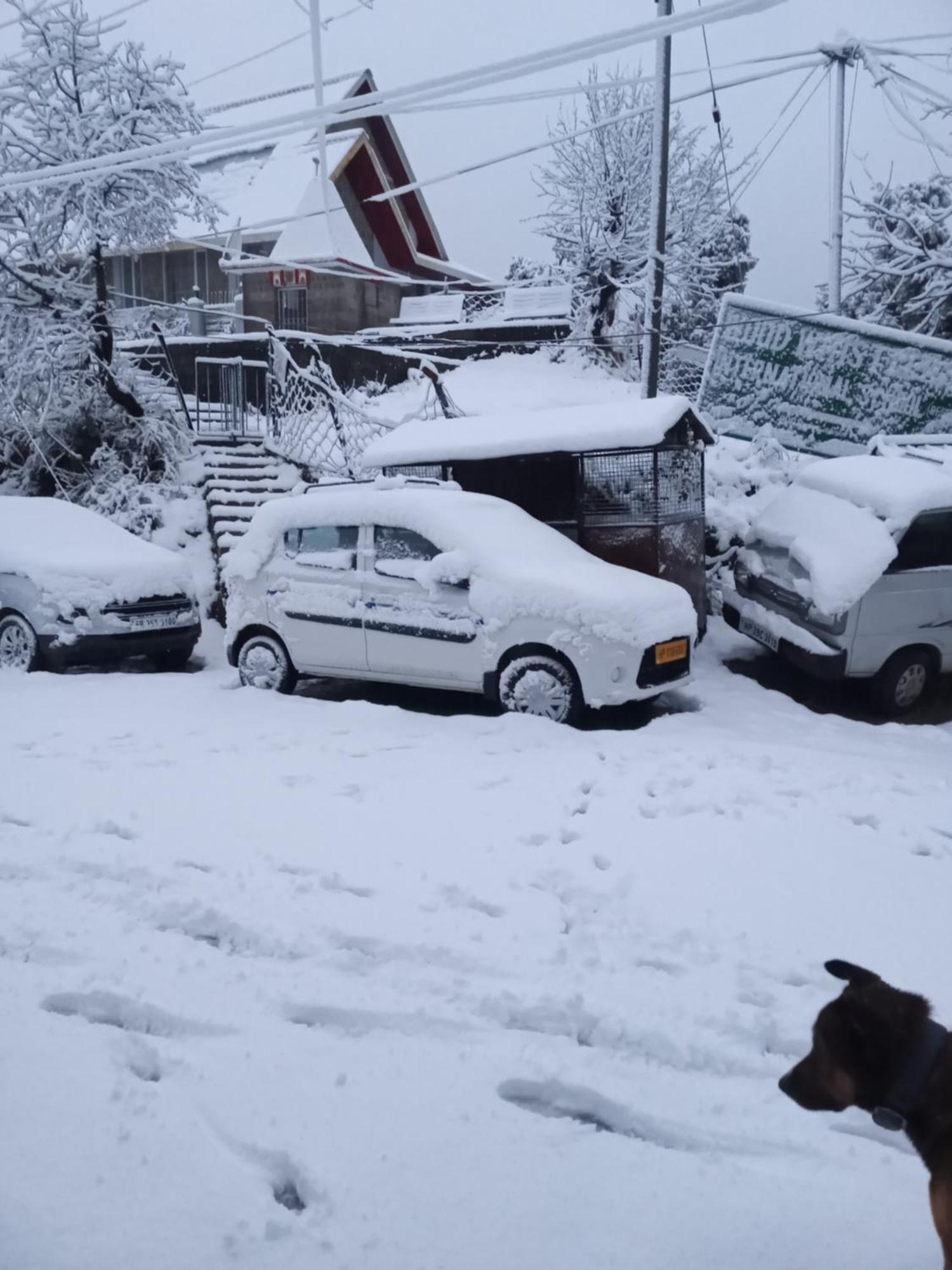 Nirmal Homestay Dharamshala Eksteriør billede