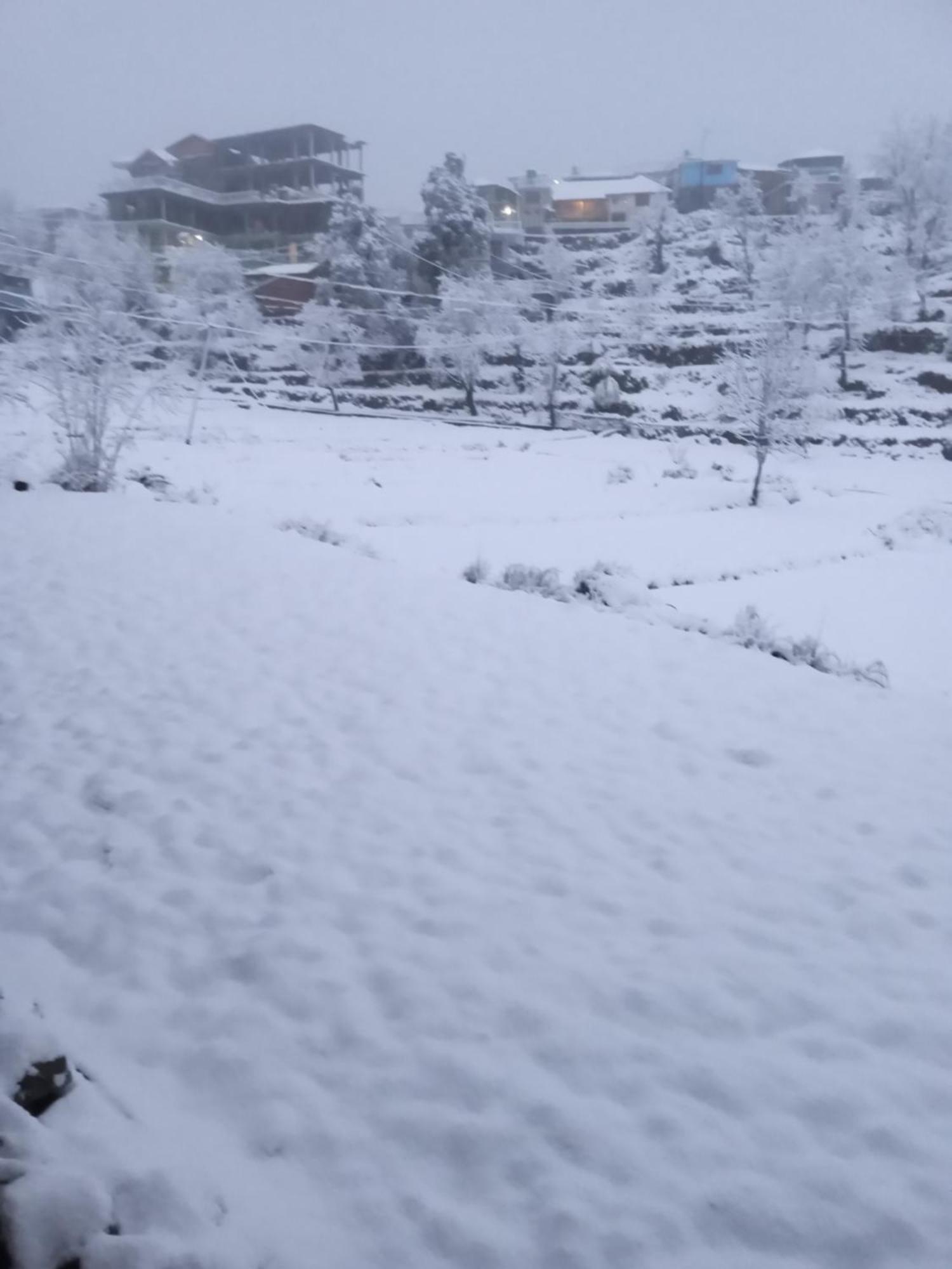 Nirmal Homestay Dharamshala Eksteriør billede