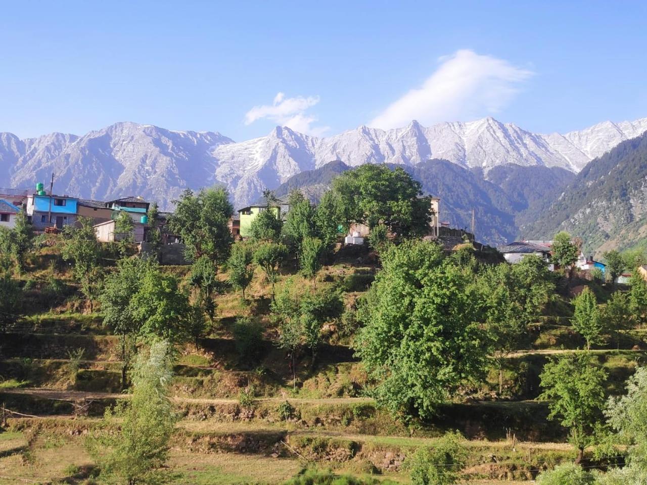 Nirmal Homestay Dharamshala Eksteriør billede