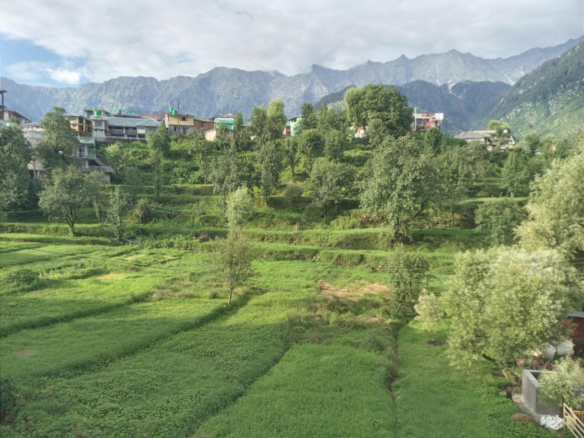 Nirmal Homestay Dharamshala Eksteriør billede